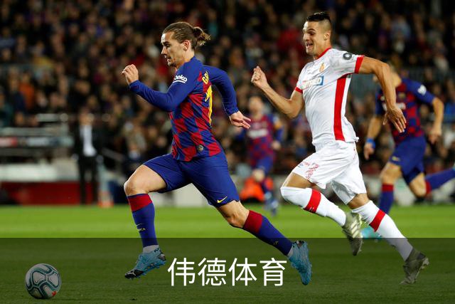 伟德体育 公司简介